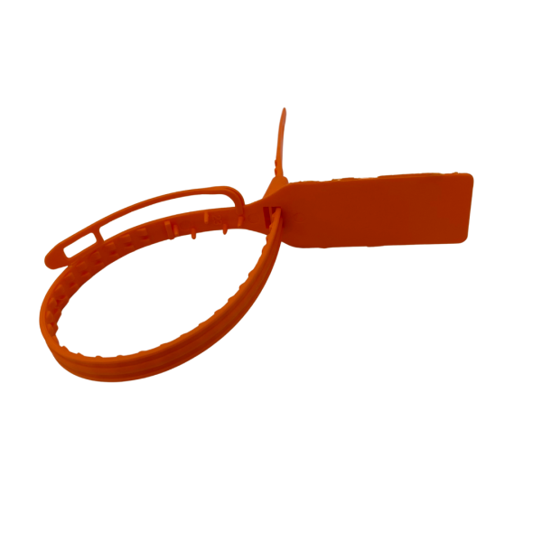 10 - Image 4