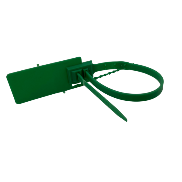 11 - Image 6