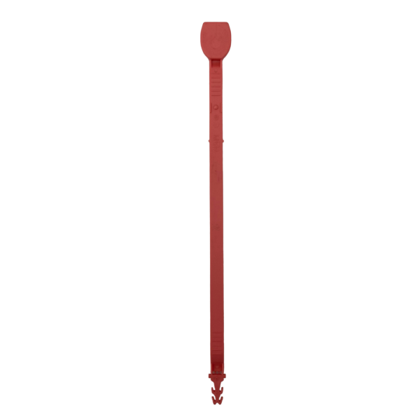 19 - Image 4